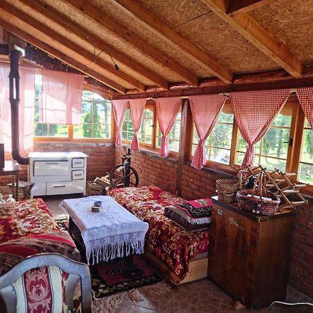 Brvnare.Smaka Villa Sjenica Luaran gambar