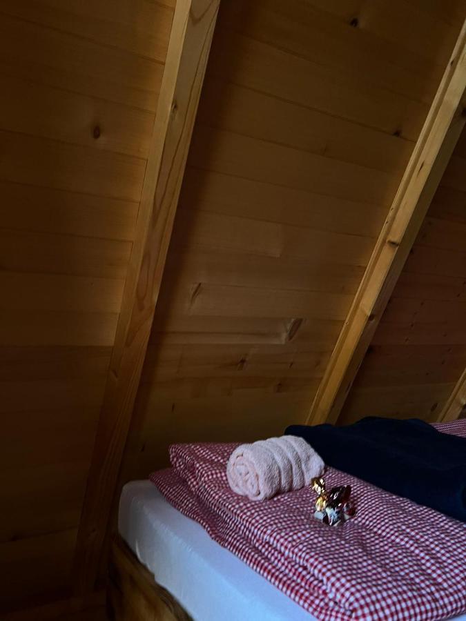Brvnare.Smaka Villa Sjenica Luaran gambar