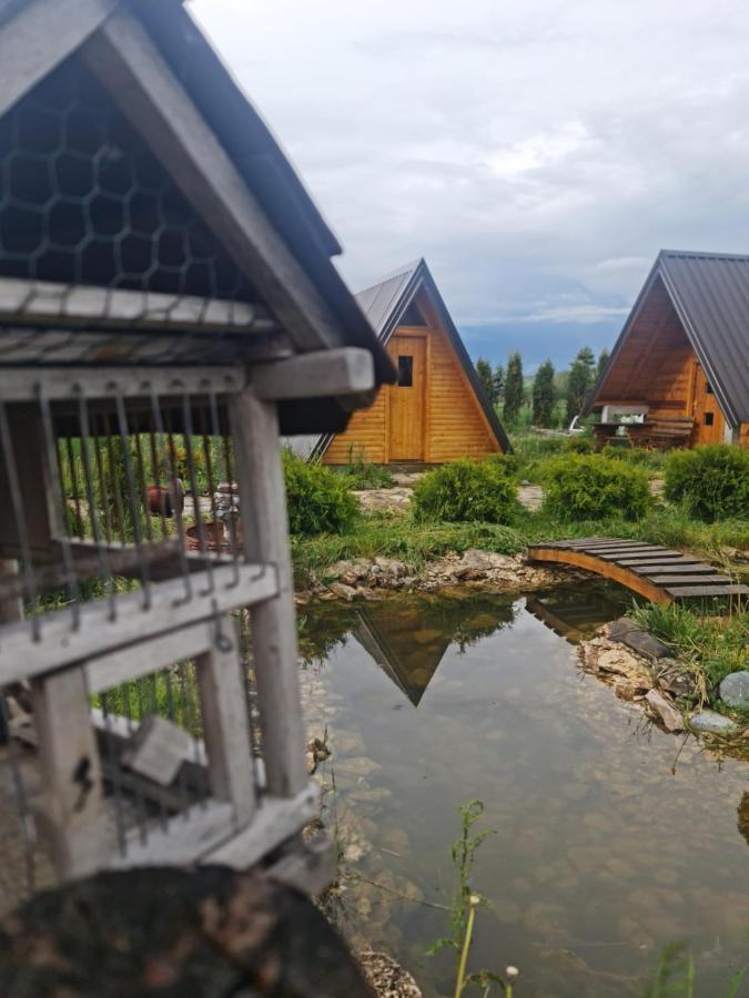 Brvnare.Smaka Villa Sjenica Luaran gambar